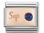 430508/09 Classic S. Steel & 9ct Rose Gold September SAPPHIRE - SayItWithDiamonds.com
